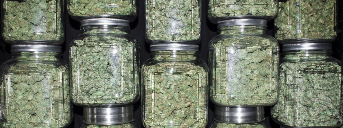 Marijuana Jars